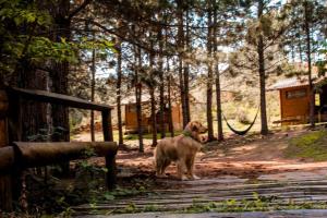 Chalés Sítio Do Tanque