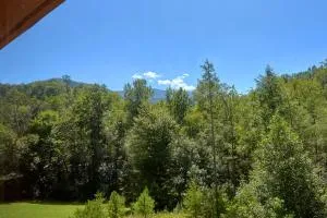 Live, Laugh, Love Pool Lodge - Newport