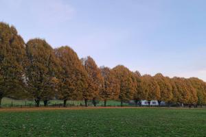 Detached Home in Prestbury Village, Cheshire East