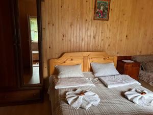 Будиночок Мойсейчуків