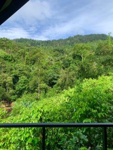 Cannelle Hill Cabanas