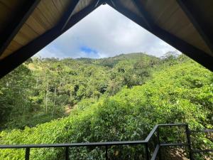 Cannelle Hill Cabanas