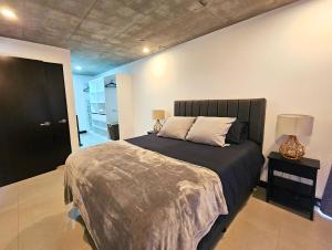 Urban oasis, nature and comfort in the city