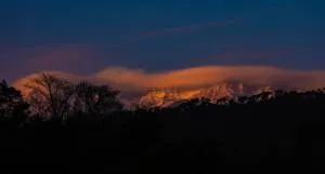 The Nest Farmstay - Paror