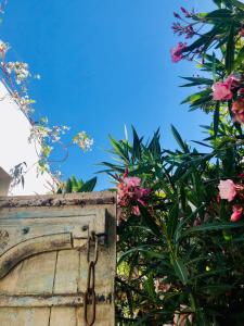 B&B / Chambres d'hotes Le Jardin des Portes : photos des chambres