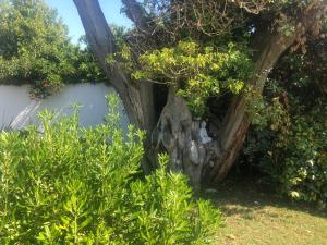 B&B / Chambres d'hotes Le Jardin des Portes : photos des chambres