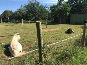 Maisons de vacances Longere en Bretagne : photos des chambres