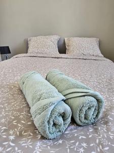 Appartements Superbe appartement renove : photos des chambres