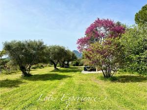 Tentes de luxe Domaine la Madeleine - Hebergement insolite : photos des chambres