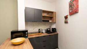 Downtown Tudor Arghezi House