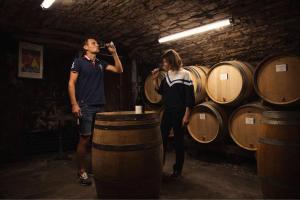 Appartements Gevrey Wine Hote : photos des chambres