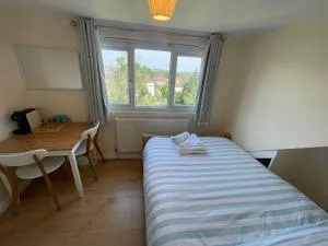 Velvet - New Southgate