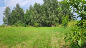 Wrzosowe Wzgórze - Małe Studio z Wanną w Pokoju