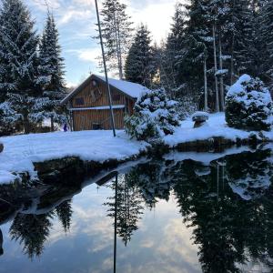 VILLA am Paulsberg mit Sauna - V4