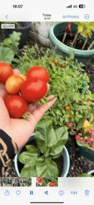 Waterford City Center TownHouse