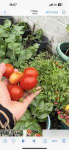 Waterford City Center TownHouse