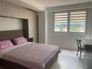 Mihail Apartman - Openjca