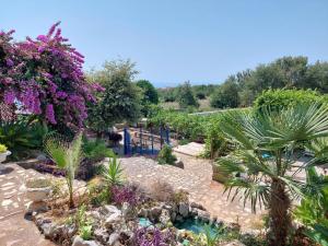 Apartments Draga