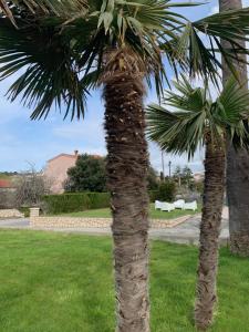 Rab Island Apartmets - Palit 