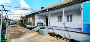 Casa Dodo