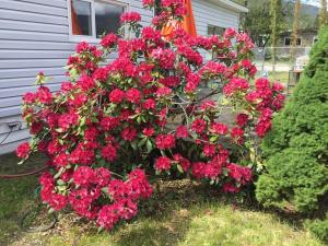 Waterfront, Mountainview House in Castlegar