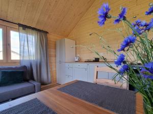 Kaszubskie Łąki -domek nr 5