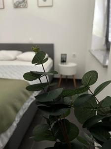 AURORA Apartment Banovci 