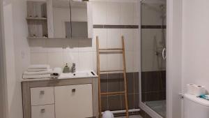 T1 Bis - centre historique-très calme-terrasse