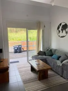 Hortensia - La Plaine des Palmistes