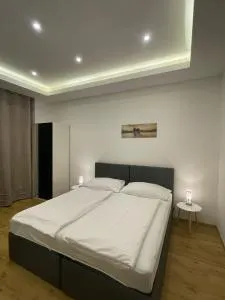 Haydnsuite - 艾森斯塔特