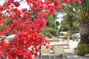 Medusa Beach Resort & Suites Naxos Greece