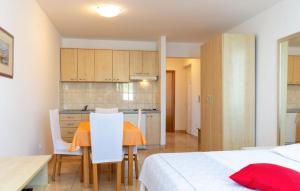 1 Bedroom Lovely Apartment In Vinjerac 