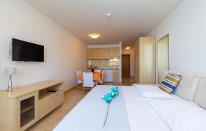 Awesome Apartment In Vinjerac With Wifi