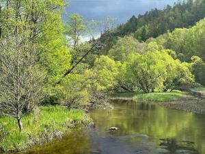 Large pool villa, roof terrace near lake & nature