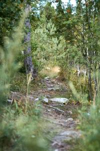 Huoneisto elokuvateatterilla Studio apartment with the movie theater