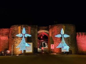 Appartements La Porte Saint Mi-Sel, Gite au coeur de la cite medievale : photos des chambres