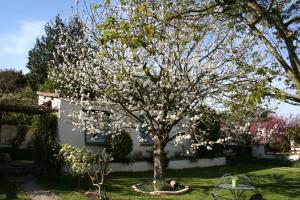 B&B / Chambres d'hotes Le Cerisier : photos des chambres