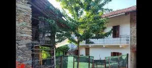 La casa nel bosco - Netro