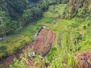 Lembah Datu Campsite