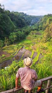 Lembah Datu Campsite
