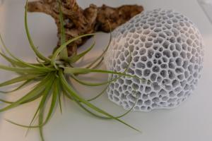 Delphis Pula Rooms img13