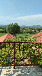 Apartmants R Pajovic Skadar lake