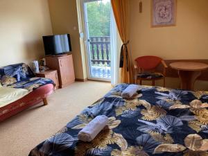 Studio (2 Adults) room in Pensjonat L&B