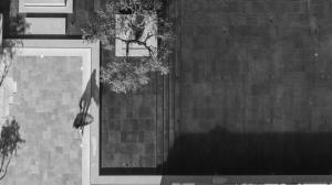 The Ritual, A Wellness Retreat