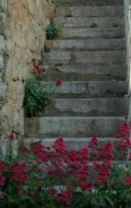 Bedroom for 1, in 100 y old Dalmatian house, under mountain, 14 km to NP KRKA, 35 mins drive to beach