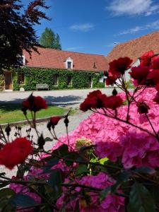 Maisons de vacances L' Epi de Ble : photos des chambres