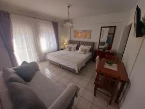 Eleni's Apartments Igoumenitsa - Γκαρσονιέρα 1ου ορόφου επιπλωμένη, εξοπλισμένη - Smértos Eleni's Apartments Igoumenitsa - Γκαρσονιέρα 1ου ορόφου επιπλωμένη, εξοπλισμένη - Smértos