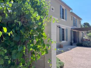 Le Mazet dErnestine - Piscine et Cheminée