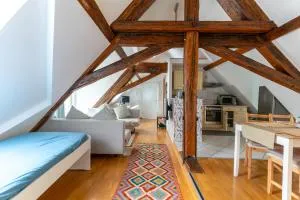 Dachwohnung am Schlosspark - Biebrich