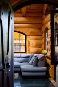 Cabana Ursilor - Vama